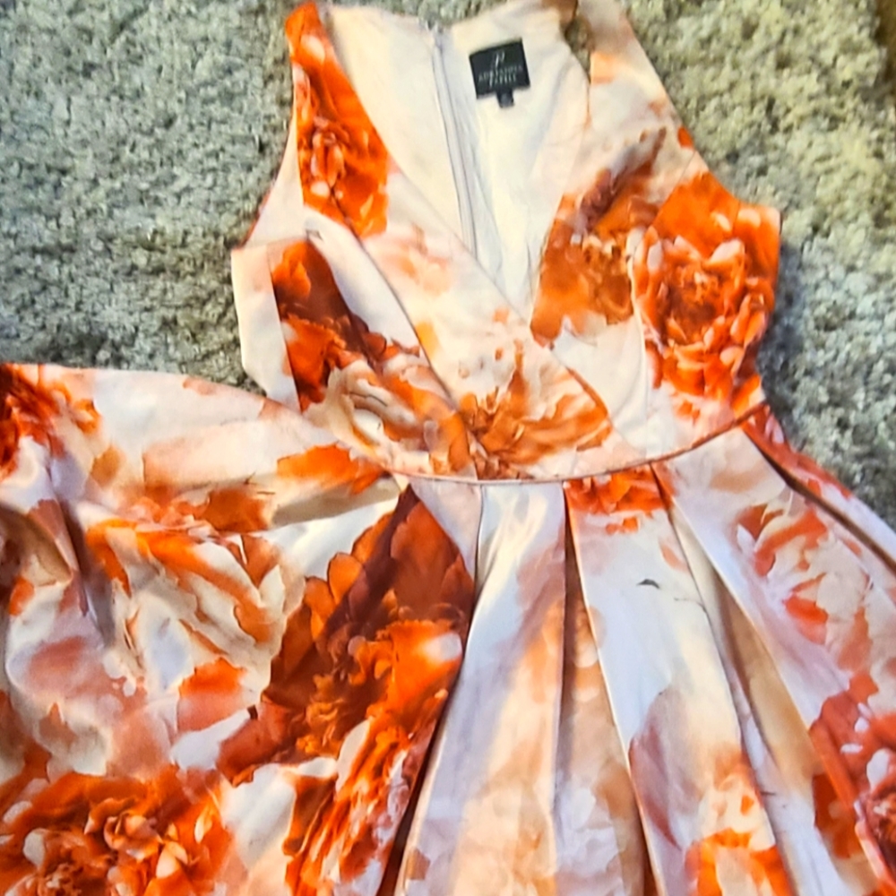 Adriana Papell dress size 8p